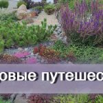 Садовое путешествие 23 сентября 2025г