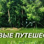 Садовое путешествие 31 июля 2024г