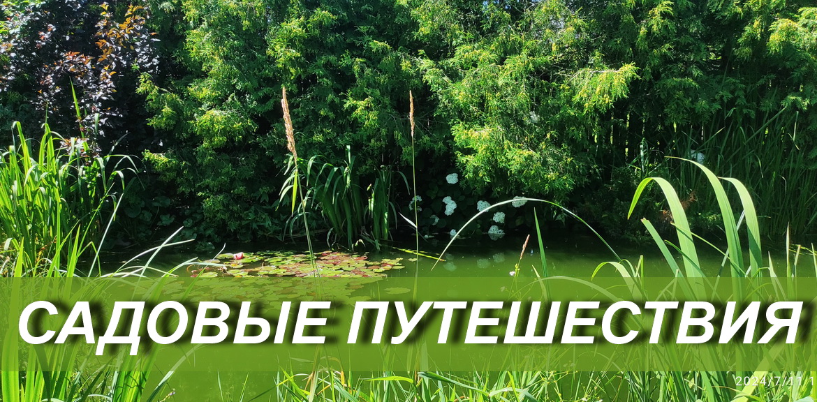 Садовое путешествие 31 июля 2024г