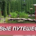 Садовое путешествие 14 августа 2024г