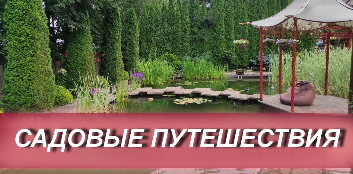 Садовое путешествие 14 августа 2024г