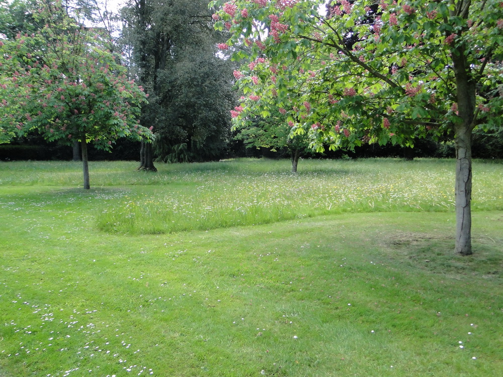 Ascott Garden 01