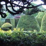 Ascott Garden 07 150x150