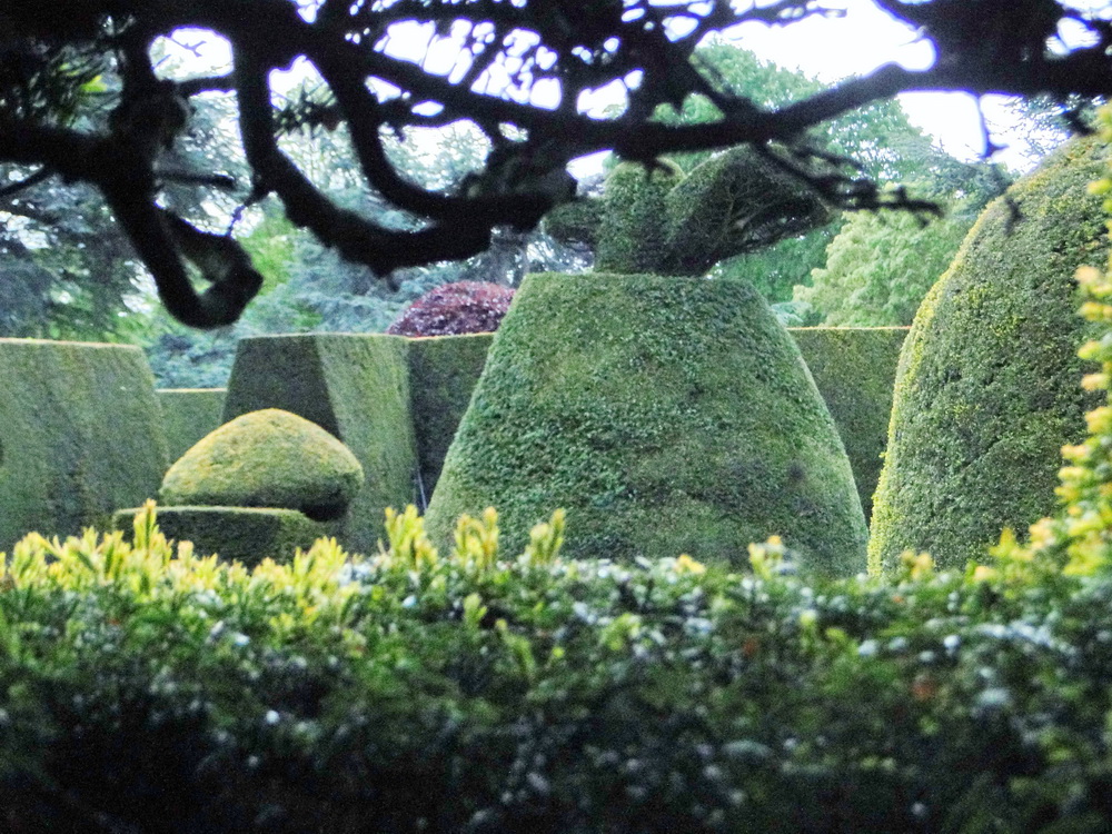 Ascott Garden 07