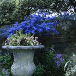 Ascott Garden 09 150x150