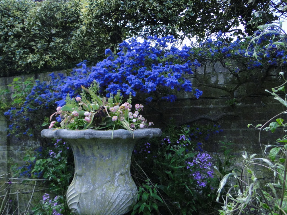 Ascott Garden 09