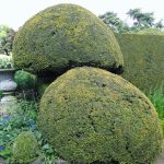 Ascott Garden 10 150x150