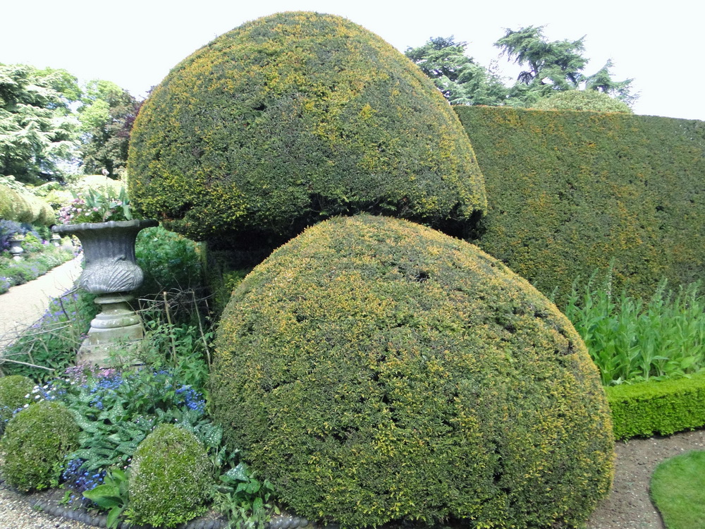 Ascott Garden 10