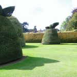 Ascott Garden 13 150x150