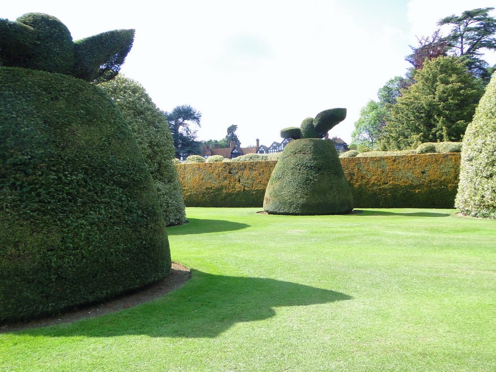 Ascott Garden 13