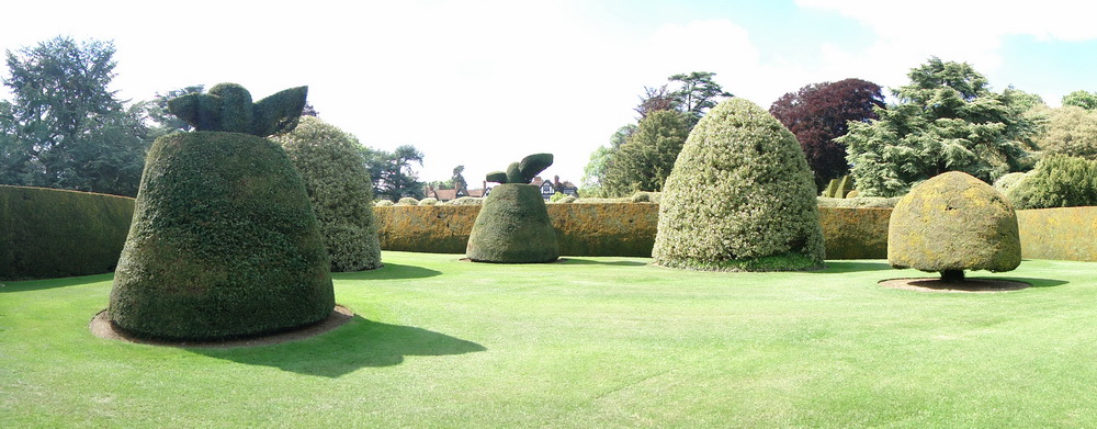Ascott Garden 14