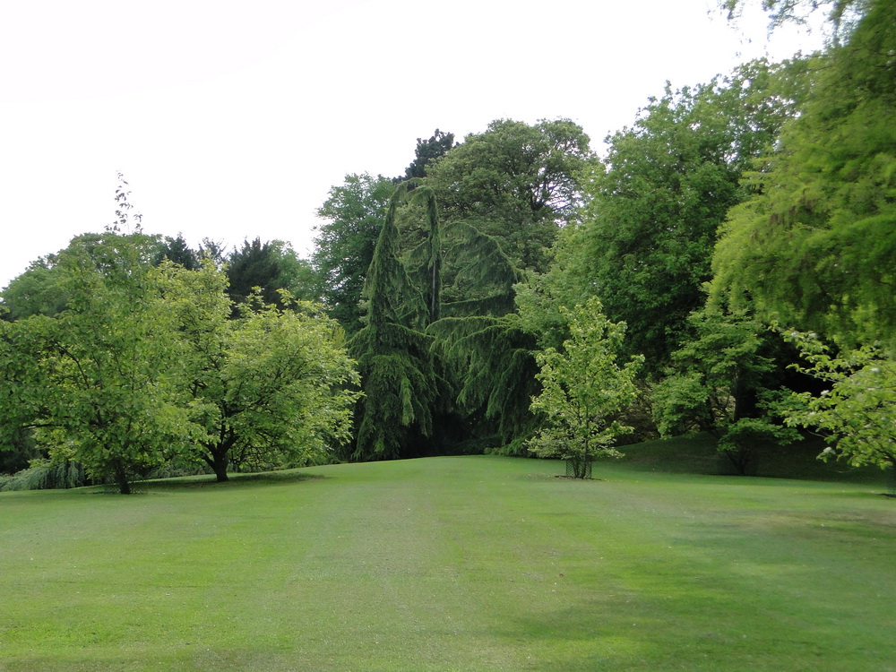Ascott Garden 16