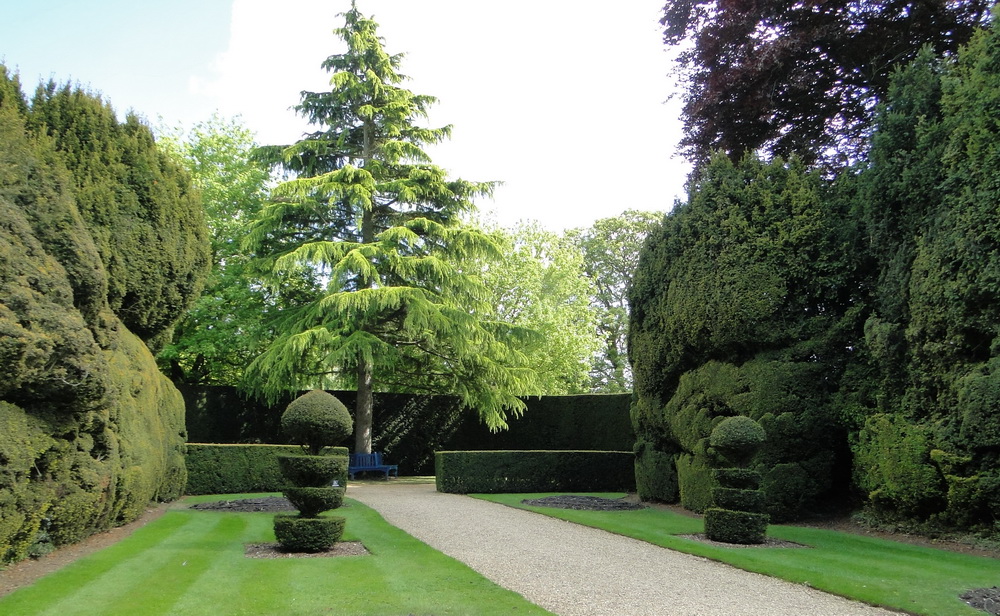 Ascott Garden 19