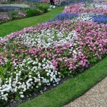 Ascott Garden 21 150x150