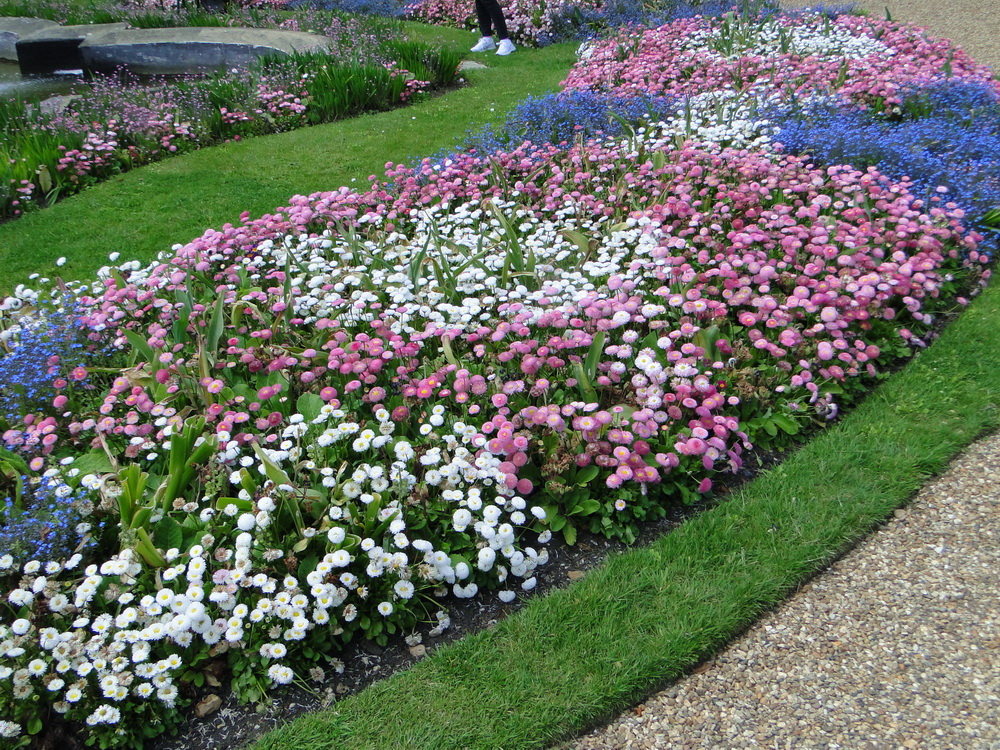 Ascott Garden 21