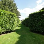Ascott Garden 28 150x150