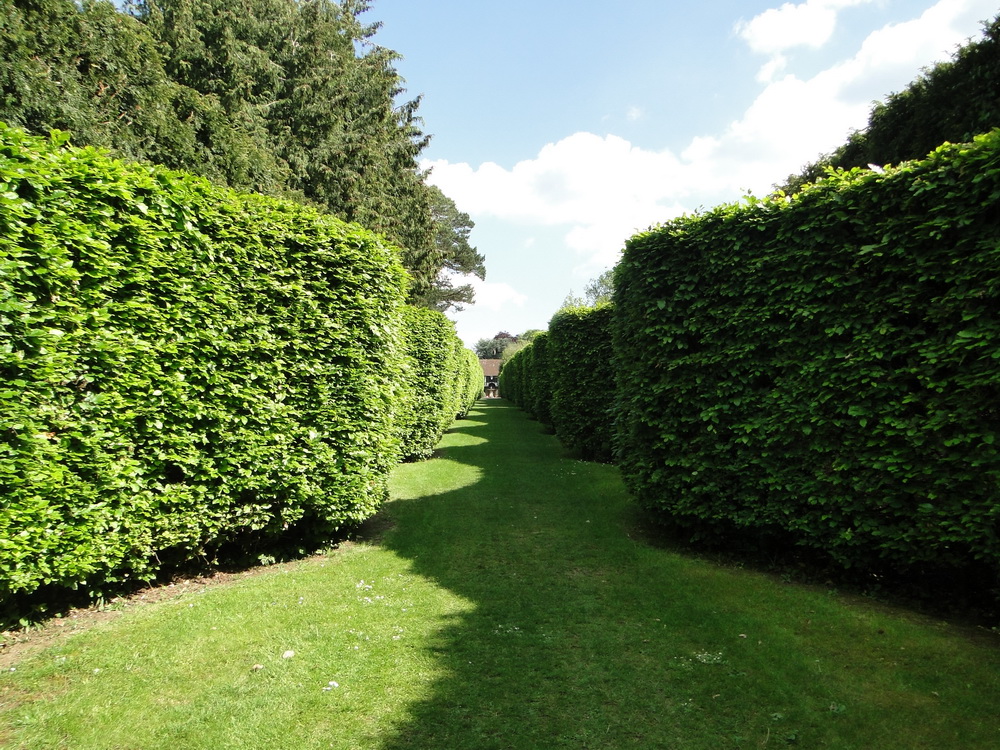 Ascott Garden 28
