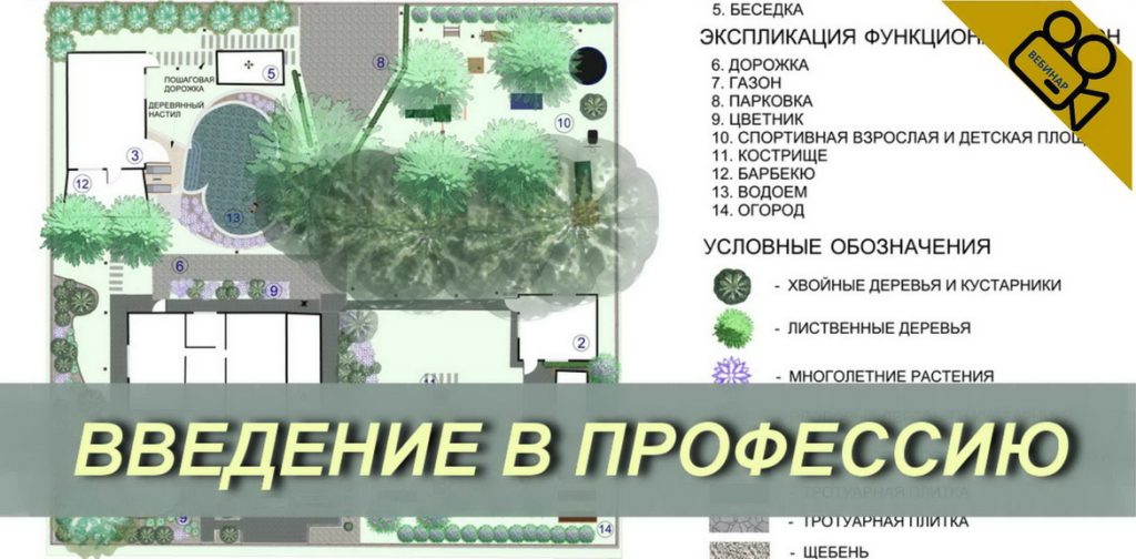 Введение в профессию 01