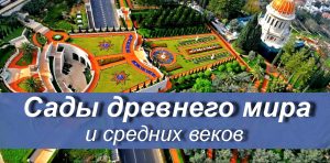Home Древаний сад