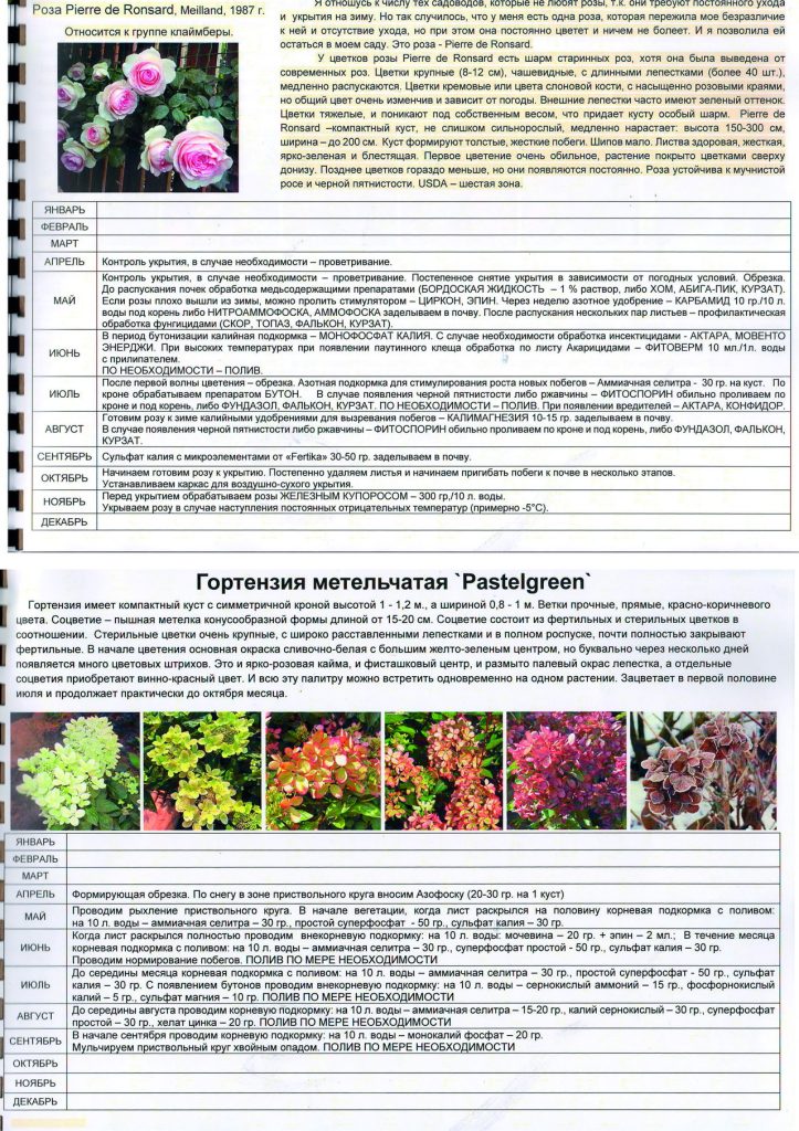 Садовых Работ Г Алеся 13 14 новый размер 723x1024