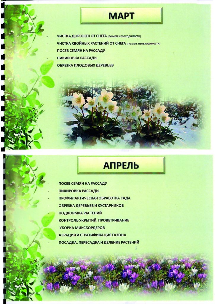 Садовых Работ Г Алеся 3 4 новый размер 725x1024