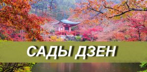 Home Сады дзен