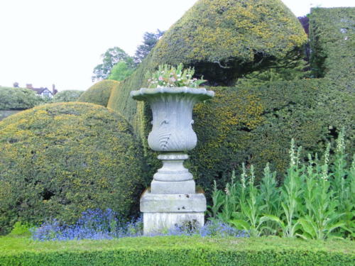 Ascott garden 11