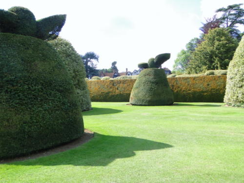 Ascott garden 13