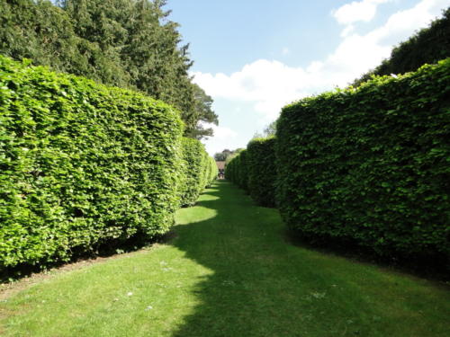 Ascott garden 28