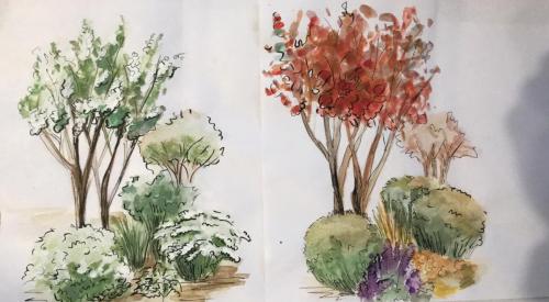 2022-01 Рис Баталова 01