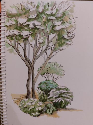 2022-01 Рис Баталова 04