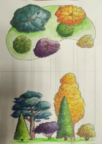 5 Фрагмент 24