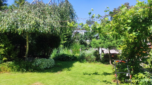 Сад Пантелеева Анна 05