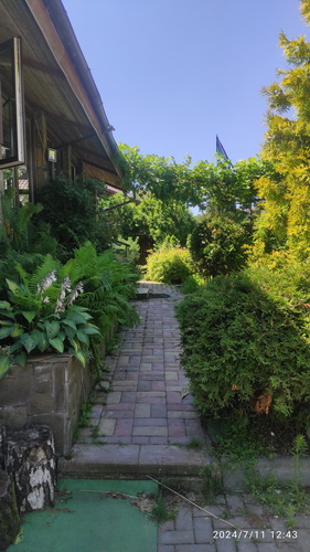 Сад Пантелеева Анна 06