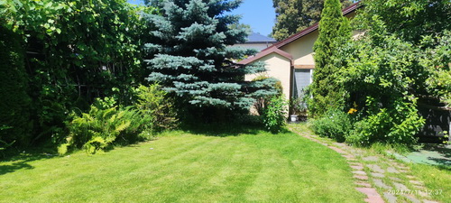 Сад Пантелеева Анна 07