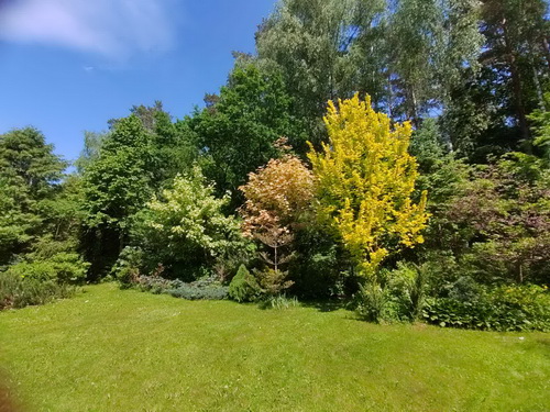 Сад Iconic Garden 03