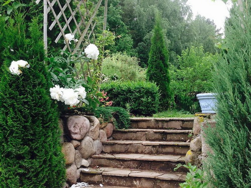 Сад Iconic Garden 10